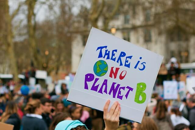 Climate change protester