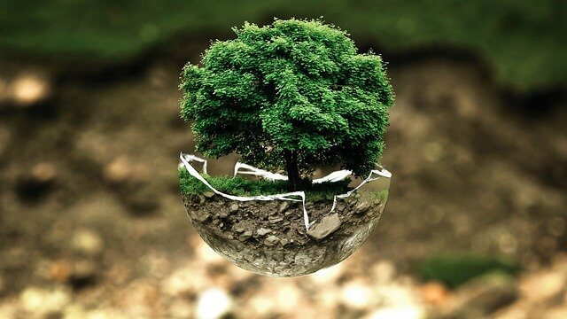 Plaet Earth